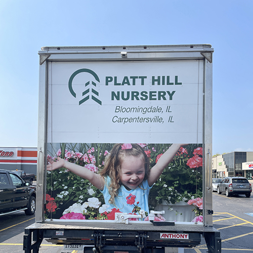 Vehicle Graphics & Wraps
